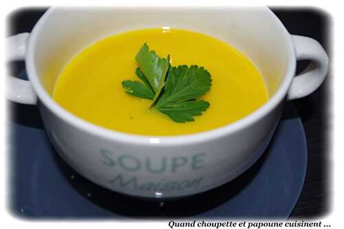 SOUPE DE COURGETTES ET CAROTTES AU KIRI AU TM OU PAS ...