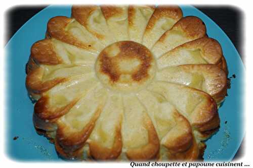 FLAN AUX POMMES AU THERMOMIX OU PAS ...