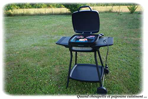 BARBECUE ELECTRIQUE PERFECT COUNTRY 2000 EASY MOVE