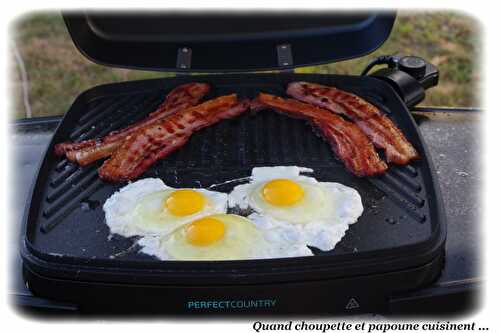 COUTEAUX AU BARBECUE ELECTRIQUE ET SA SOLUTION DE REPLIS ...