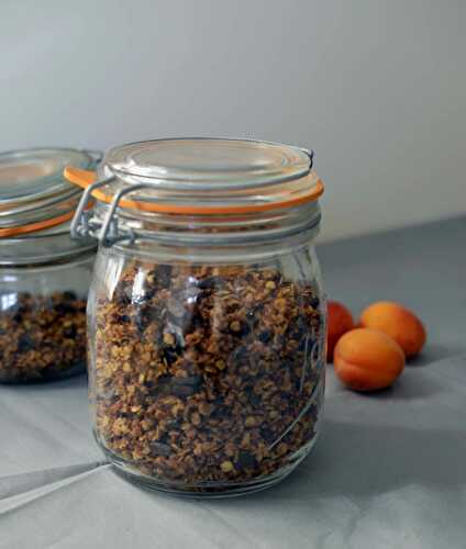 Granola noix de coco - chocolat maison