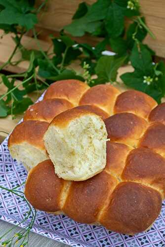 Brioche moelleuse au fromage blanc (2ème!)