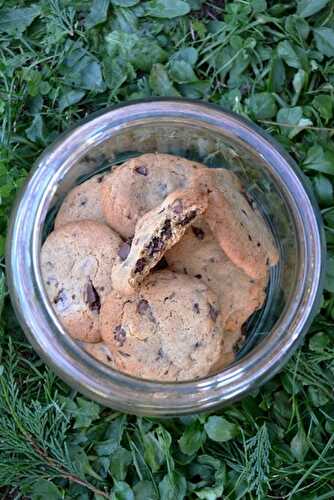 Cookies au chocolat de Christophe Felder