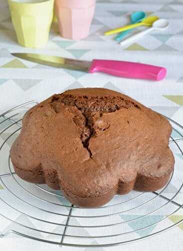 Gâteau moelleux au yaourt et à la pâte à tartiner