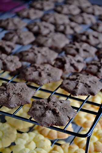 Sablés au chocolat (à la presse à biscuits)