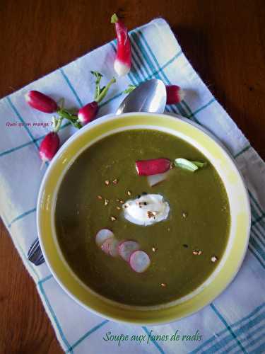 Soupe aux fanes de radis