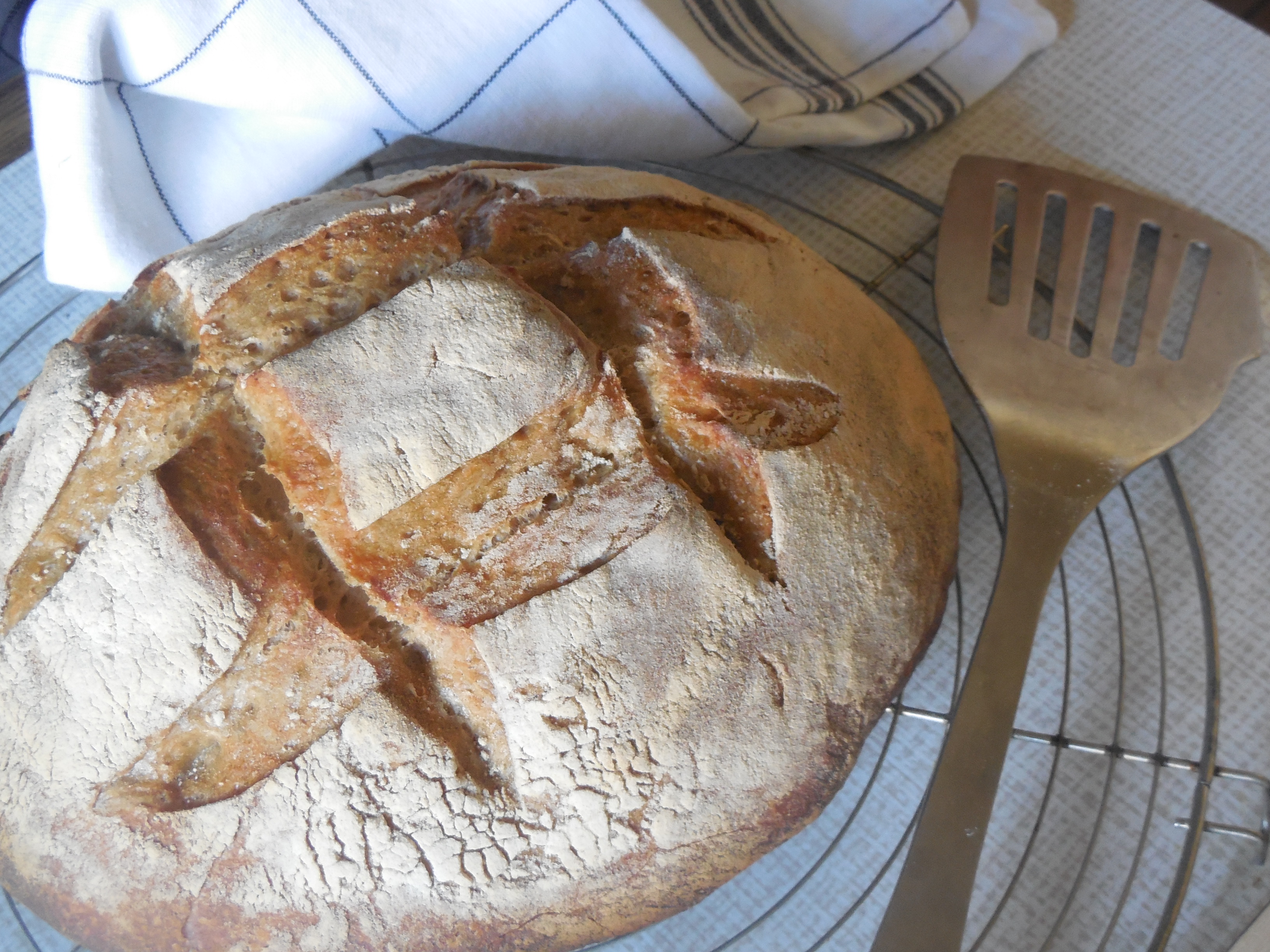 Pain blanc (au levain kayser)