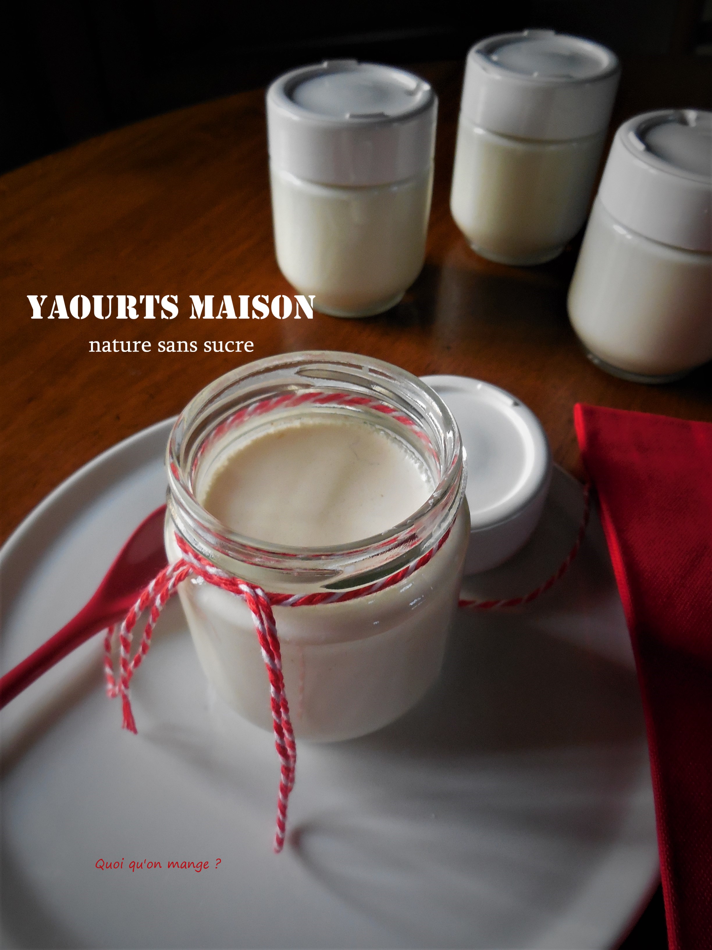 Yaourts maison nature sans sucre