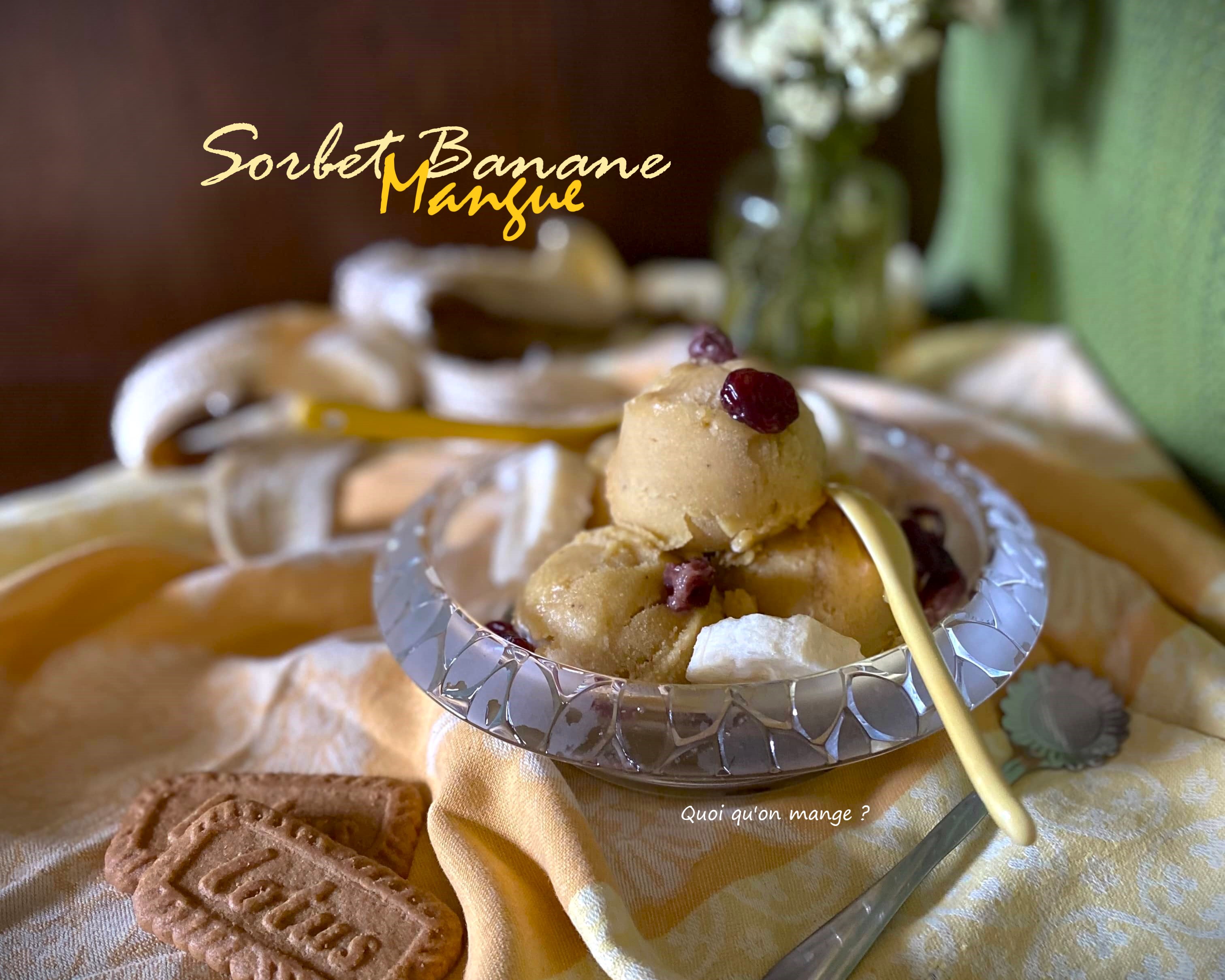 Sorbet Banane et Mangue – une recette rafraichissante sans lactose