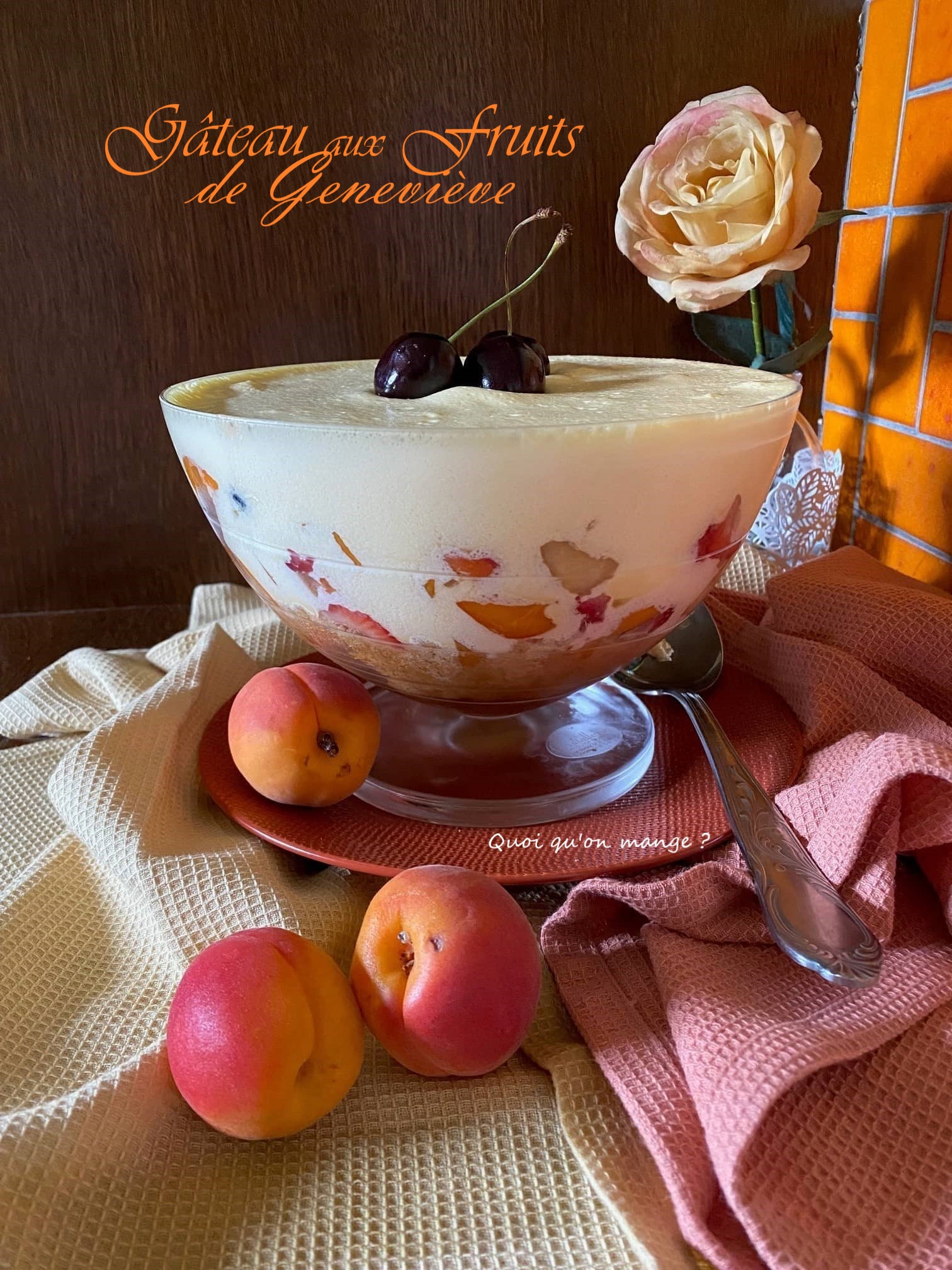 Gâteau aux Fruits de Geneviève | Comme un Tiramisù aux Abricots