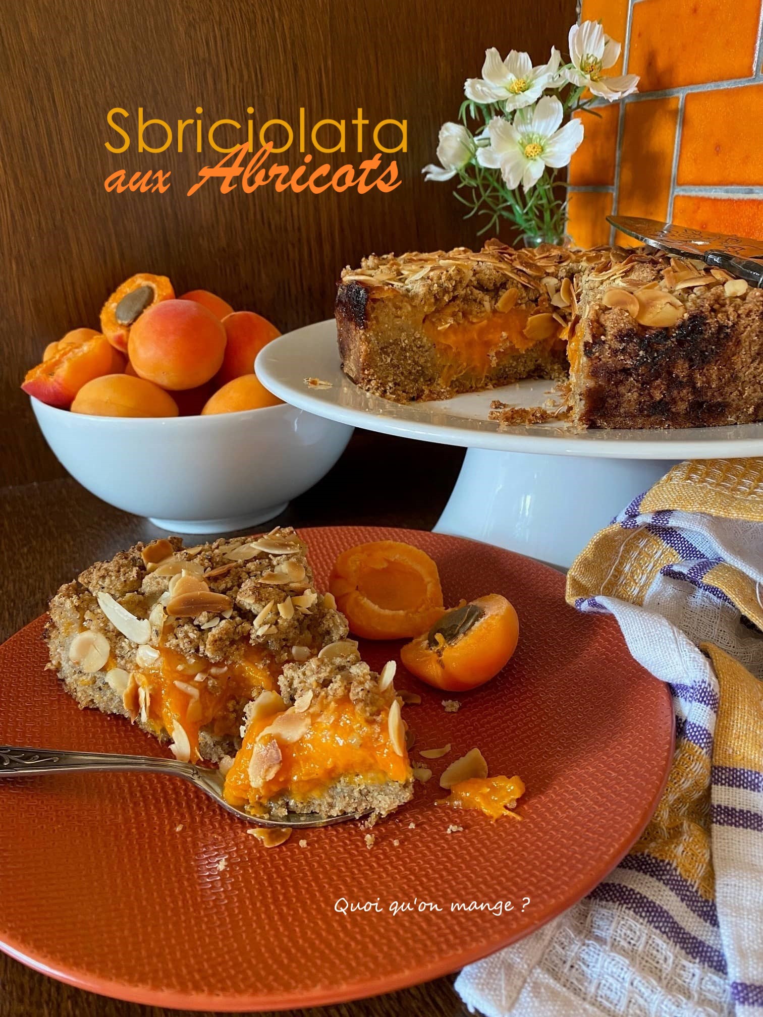 Sbriciolata ou Gâteau Emietté aux Abricots | Un dessert irrésistible à tester