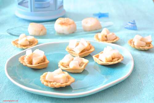 Coquilles de compotée d’oignons et Saint Jacques