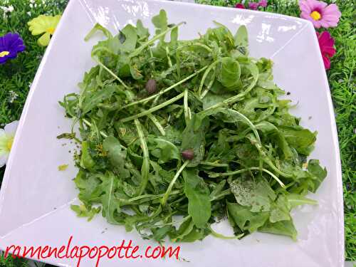 Salade de roquette et herbes folles