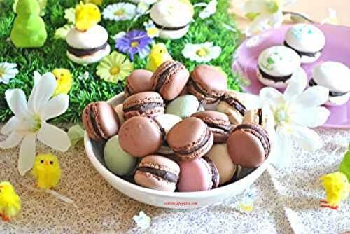 Mini macarons et meringuettes chocolat