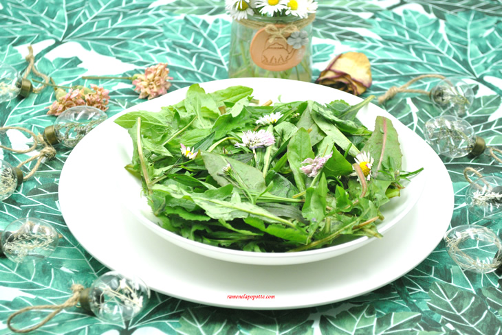 Salade de plantes sauvages