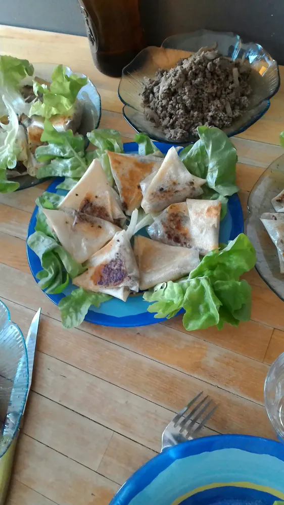 Brick à la viande aux saveurs de l'Orient