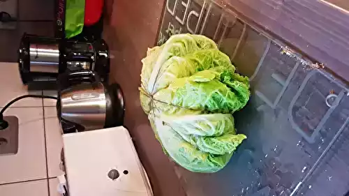 Chou farci cuit à l'autocuiseur