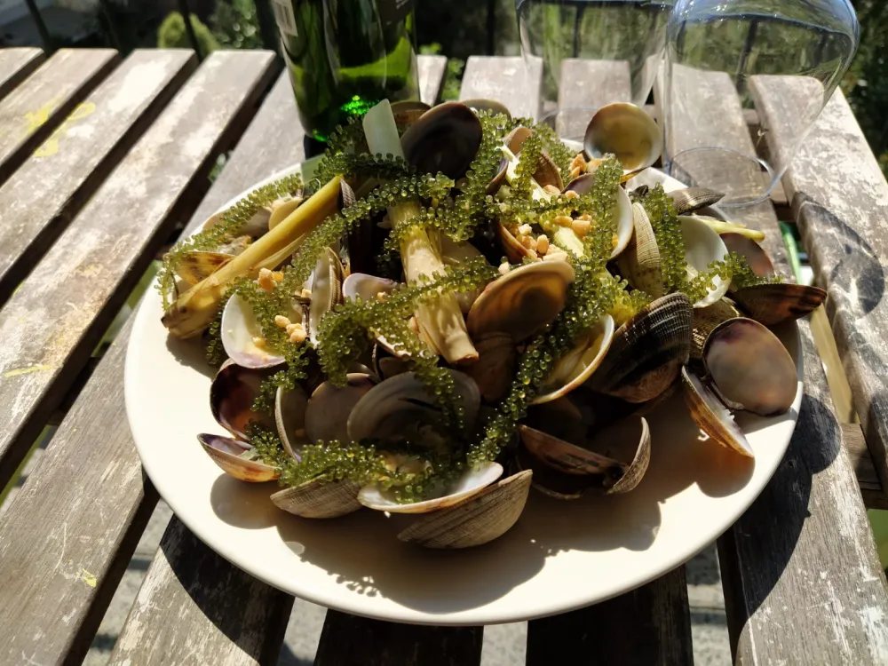 Clams au caviar végétal