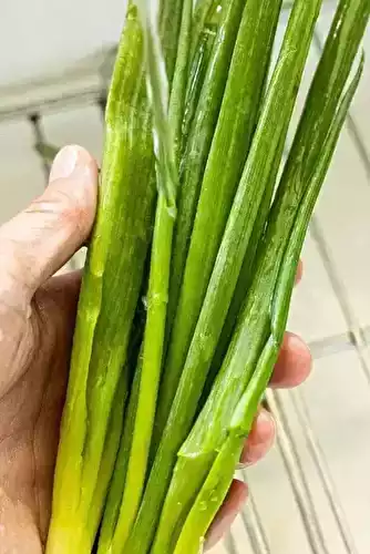 Comment Couper les Oignons Verts : Techniques, Astuces et Utilisations Culinaires