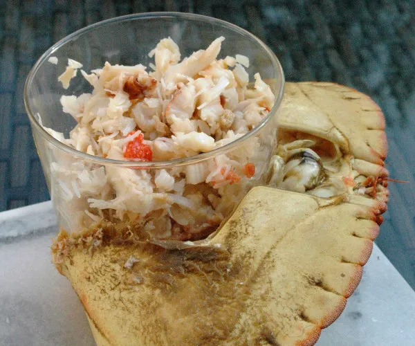 Crabe brésilien