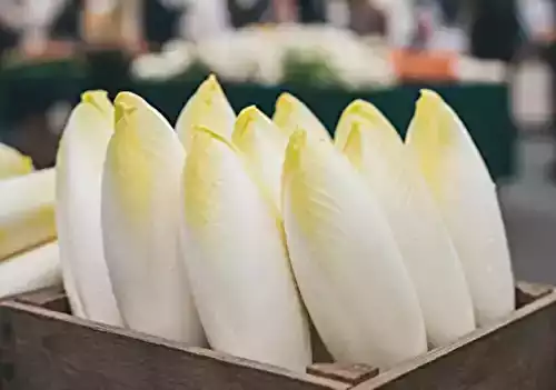 Cuisson des Endives : Techniques, Temps et Astuces de Chef