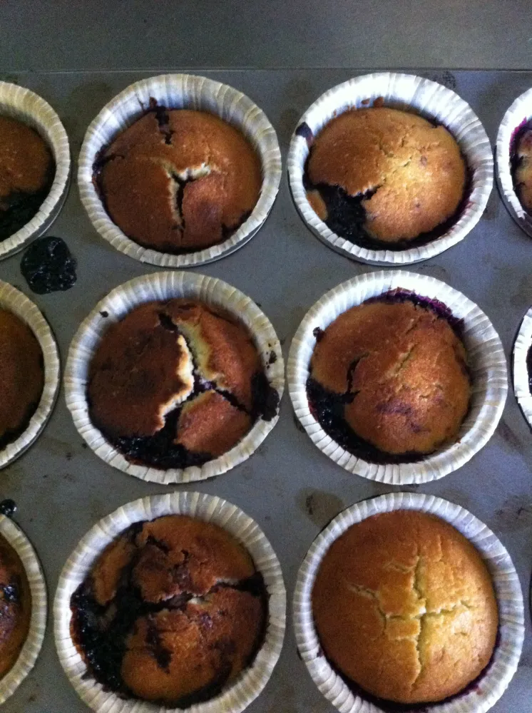 Délicieux muffins au cassis gluten free !