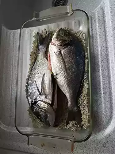 Dorade en croûte de sel