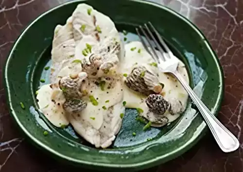 Filet de sandre à la crème de morilles