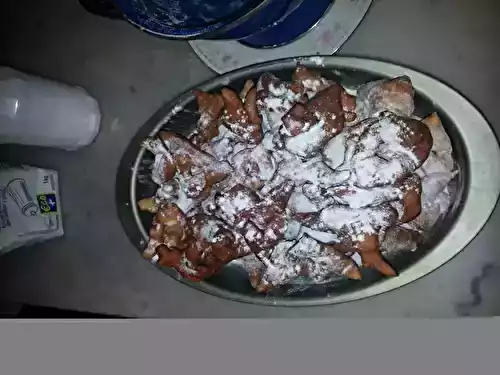 Ganses du carnaval (ou bugnes)