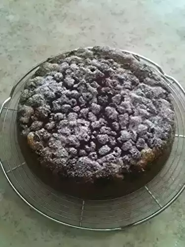 Gâteau à la faisselle noix de coco framboises
