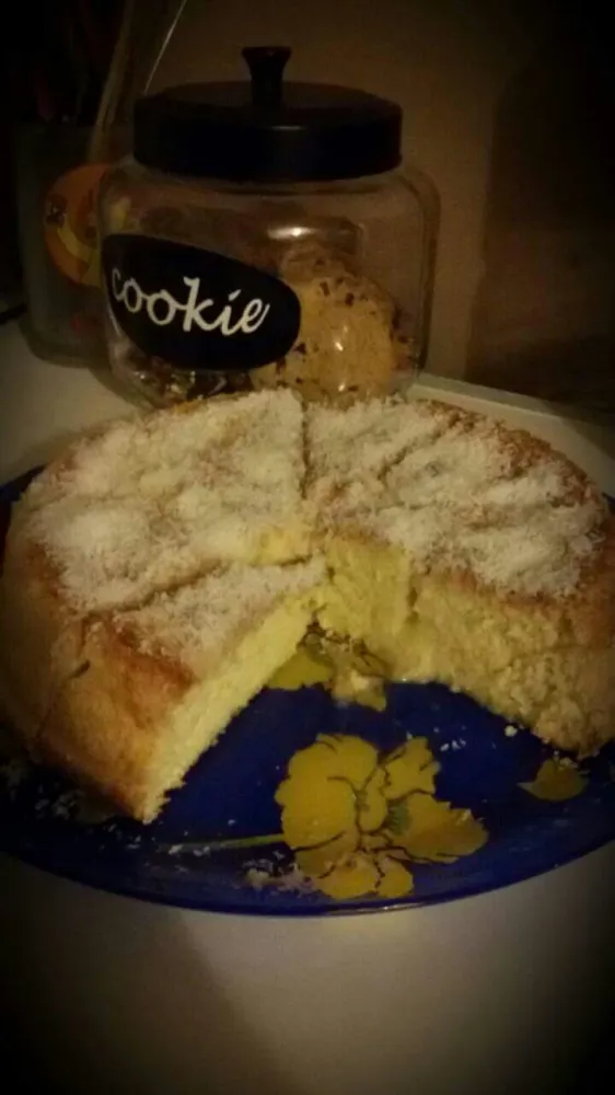 Gâteau à la noix de coco rapide