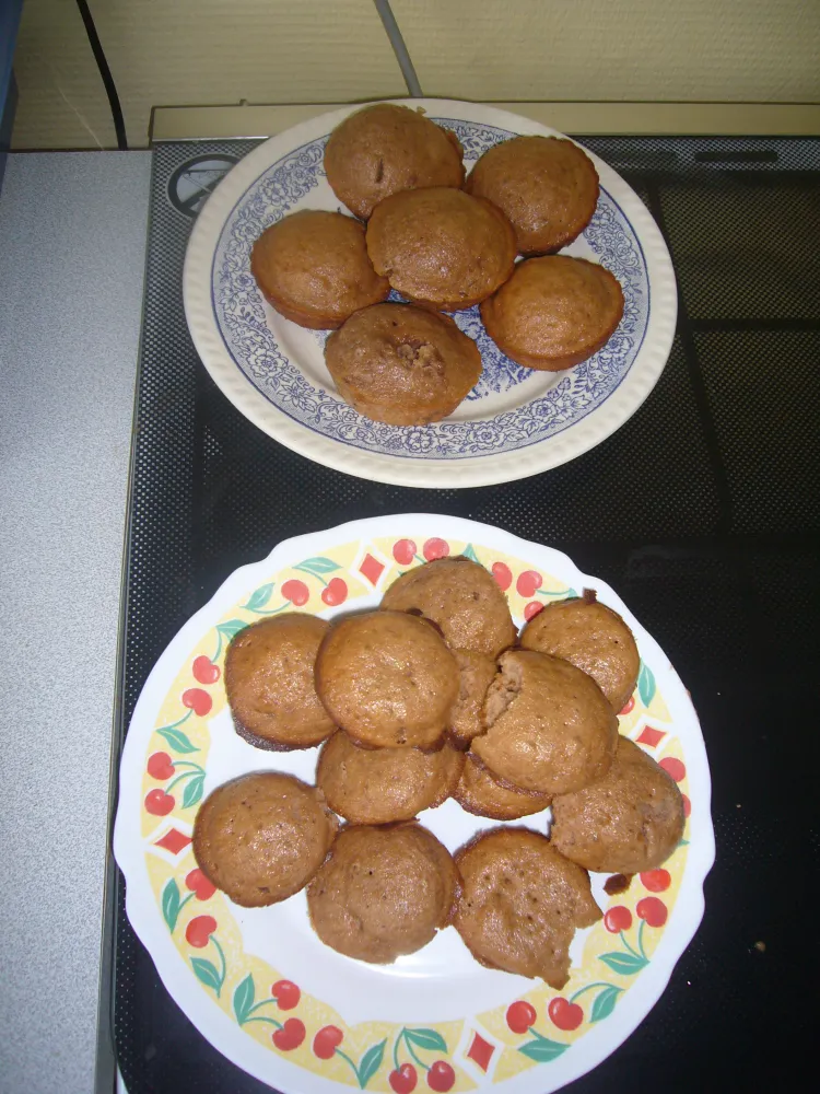 Gateau au yaourt au pain d'épices
