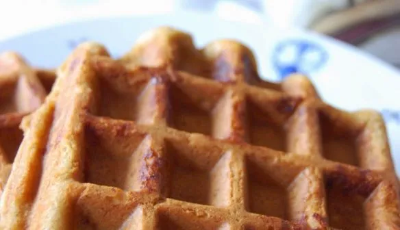 Gaufres végétaliennes