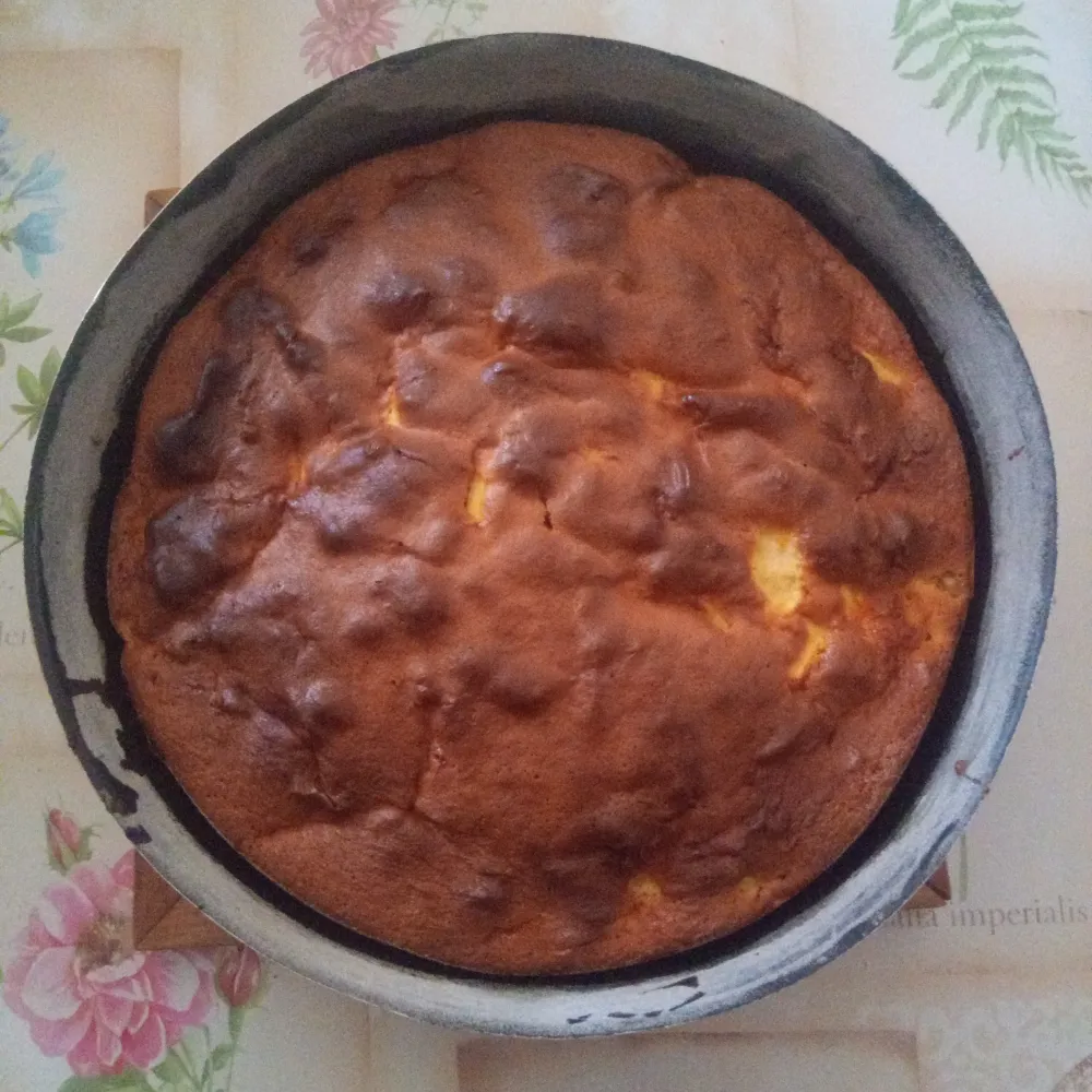 Le pommier (gâteau sans beurre ni huile)