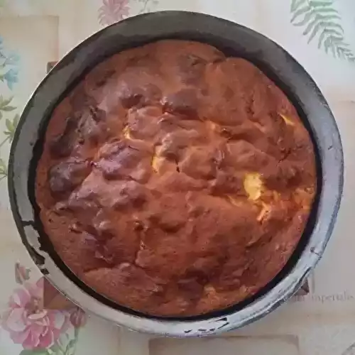 Le pommier (gâteau sans beurre ni huile)