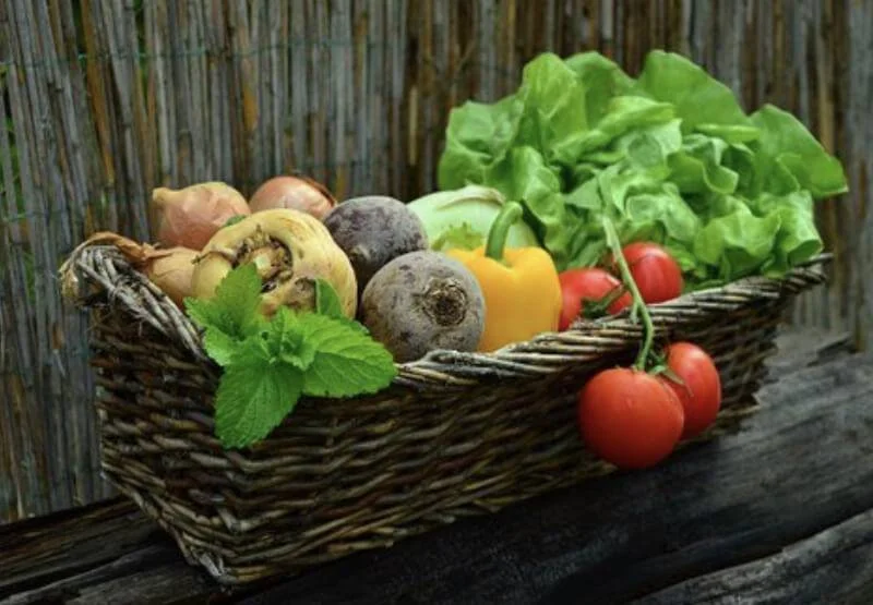 Légumes Féculents vs Non-Féculents: Guide Nutritionnel Complet pour une Cuisine Saine