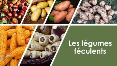 Les Bienfaits des Légumes pour la Santé : Nutrition et Conseils de Préparation