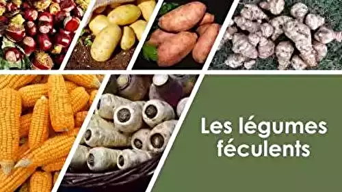 Les Bienfaits des Légumes pour la Santé : Nutrition et Conseils de Préparation