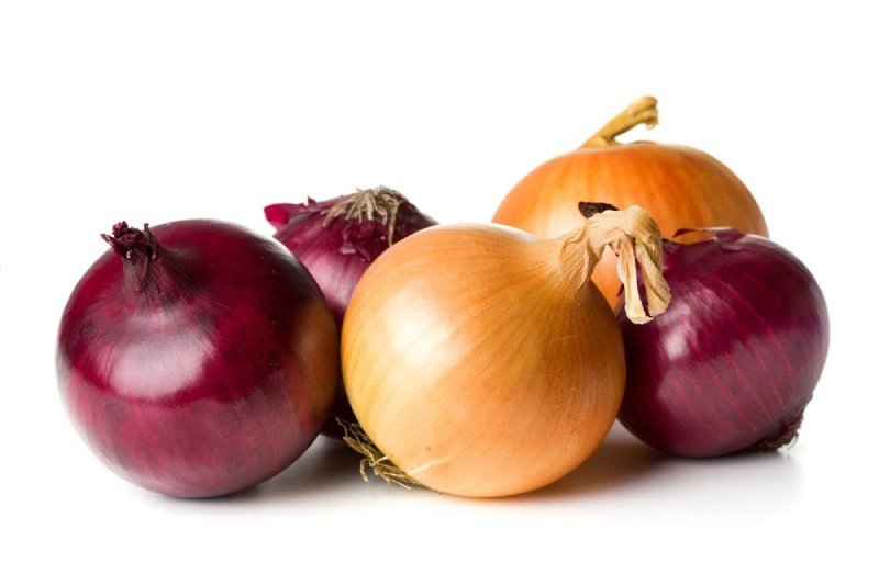 Les Légumes Bulbes : Guide Complet de Cuisine et Bienfaits