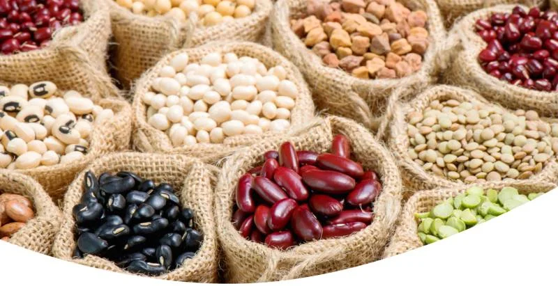 Les légumineuses : variétés, bienfaits et méthodes de cuisson | Guide complet