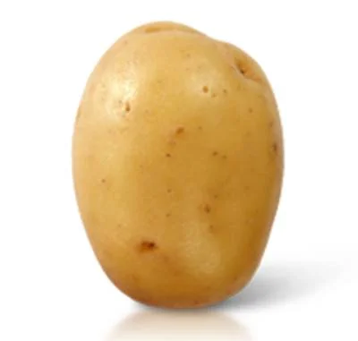 Les Merveilles de la Pomme de Terre : Guide Complet des Variétés Culinaires