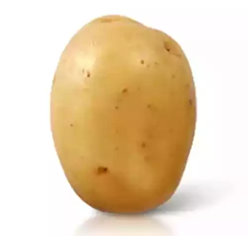 Les Merveilles de la Pomme de Terre : Guide Complet des Variétés Culinaires