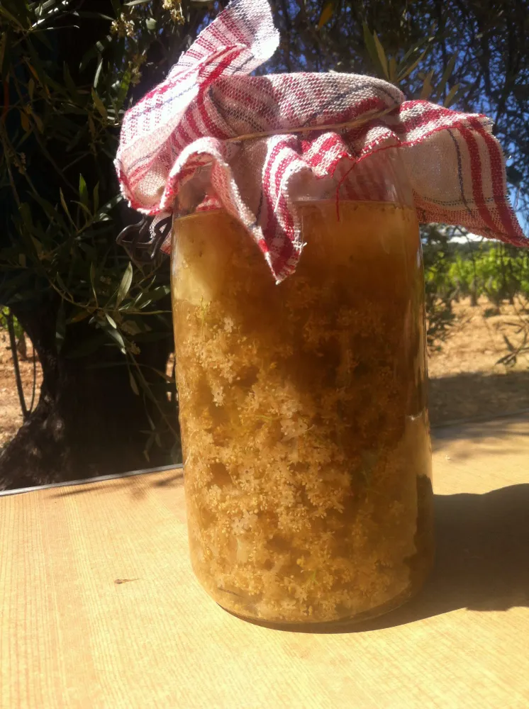 Limonade maison au sureau