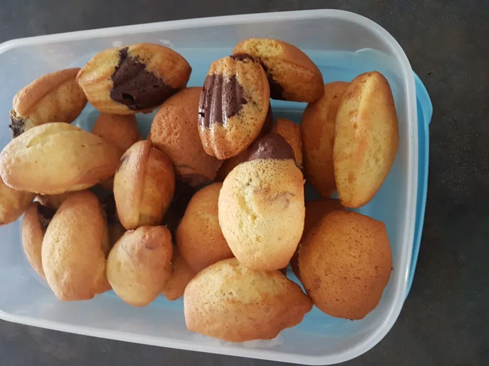 Madeleine vanille chocolat ou citron chocolat