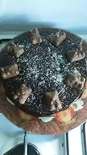 Moelleux à la noix de coco nappé de chocolat