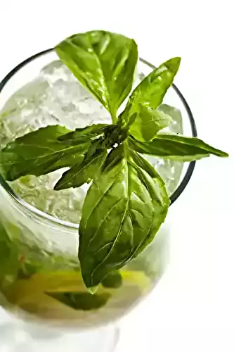 Mojito au Basilic
