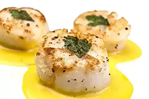 Noix de Saint Jacques sautées au safran