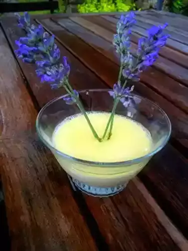 Panna cotta à la lavande