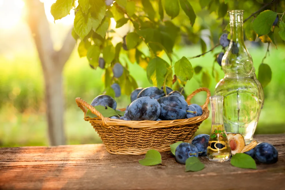 Prunes à l'eau de vie