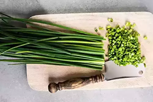 Recette de Tout sur la ciboulette, Bienfaits, Cuisson et idées de recettes facile et rapide